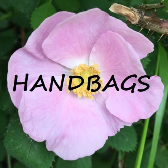 Handbags! - Picture 1 of 1